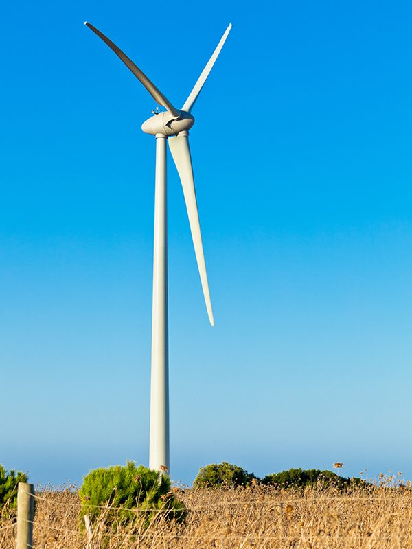 windmills-PXPECRSa.jpg